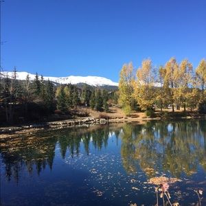 Meet your Posher, Alexandra